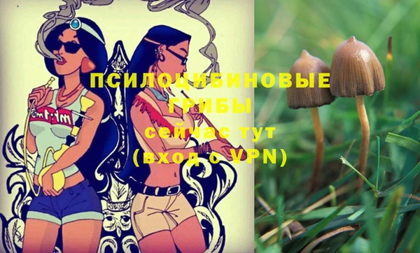 герыч Новодвинск