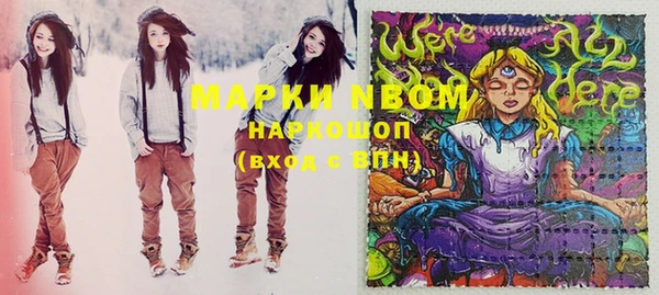 стафф Новокубанск