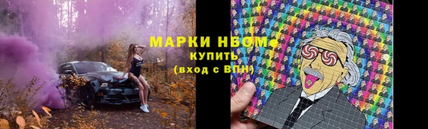 стафф Новокубанск