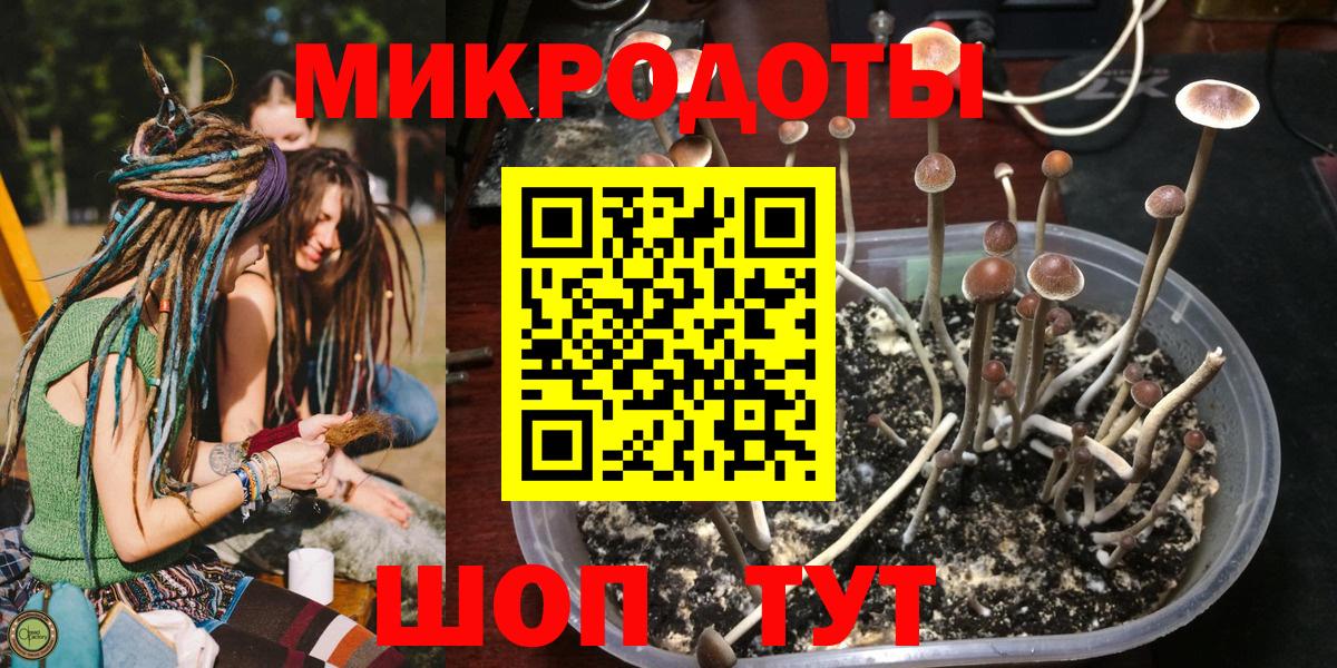 Галлюциногенные грибы мицелий  наркотики  Вход с VPN  Ахтубинск  Галлюциногенные грибы мицелий 