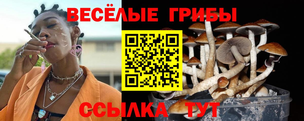 Галлюциногенные грибы GOLDEN TEACHER  как найти закладки  Ахтубинск 